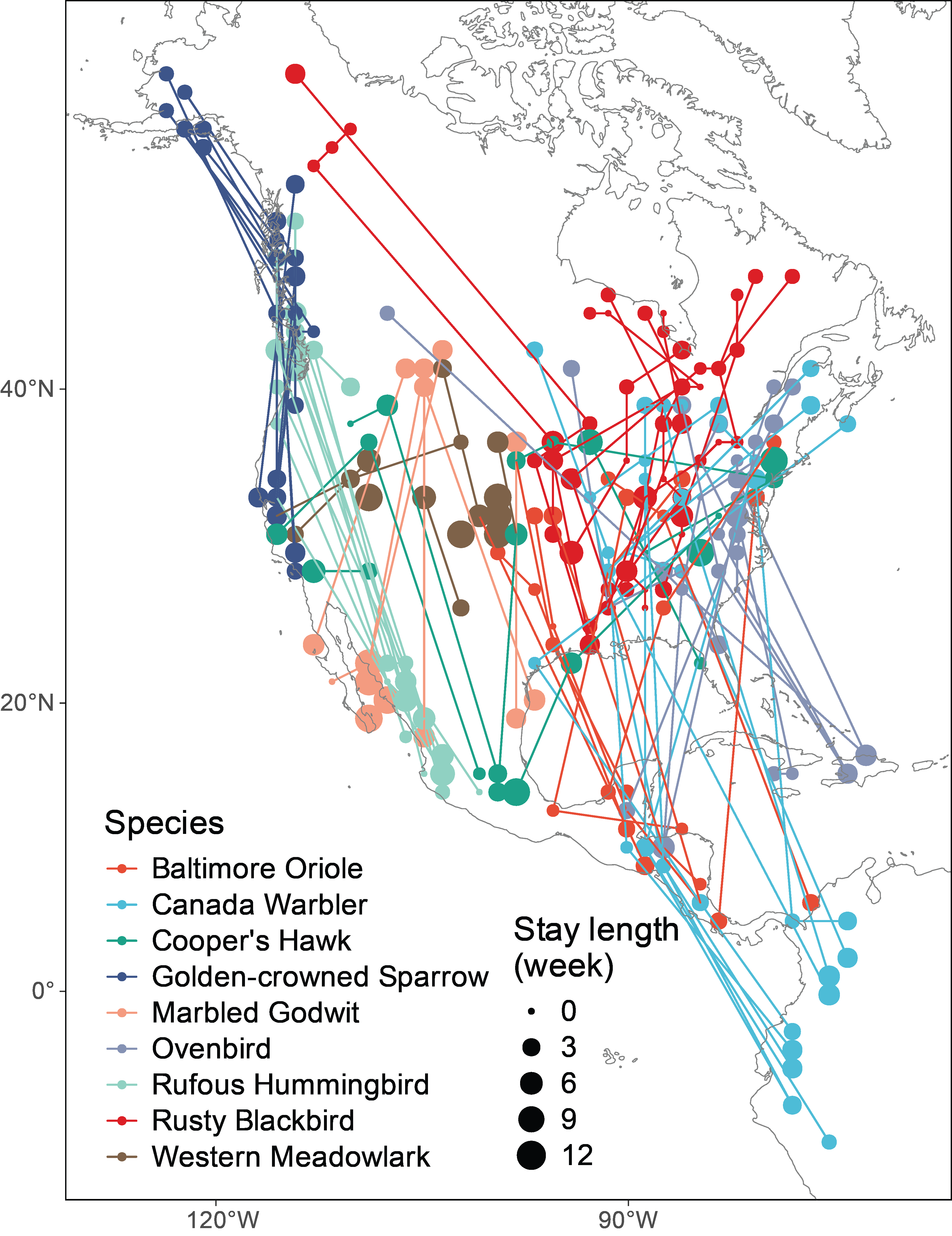 BirdFlow migration routes for multiple North American bird species
