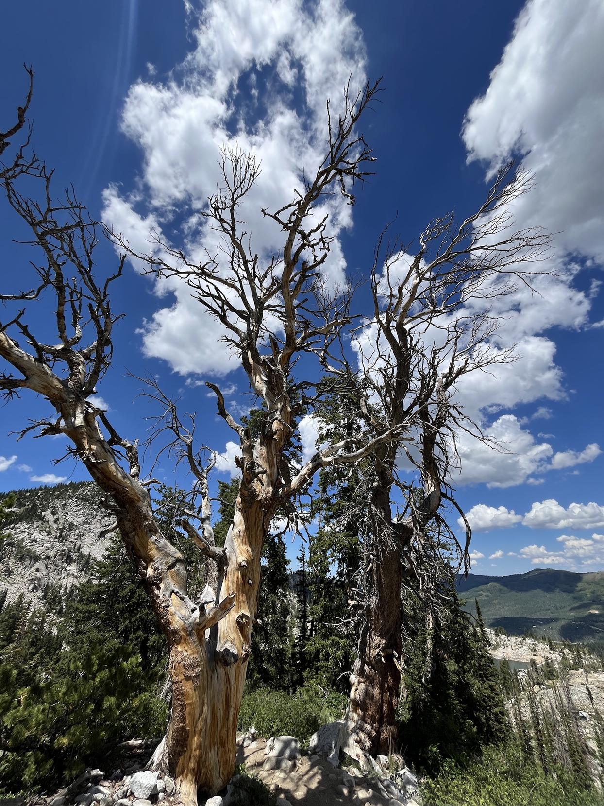 Mountains photograph